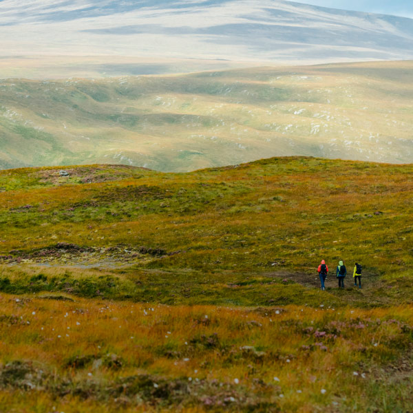 United we hike banner