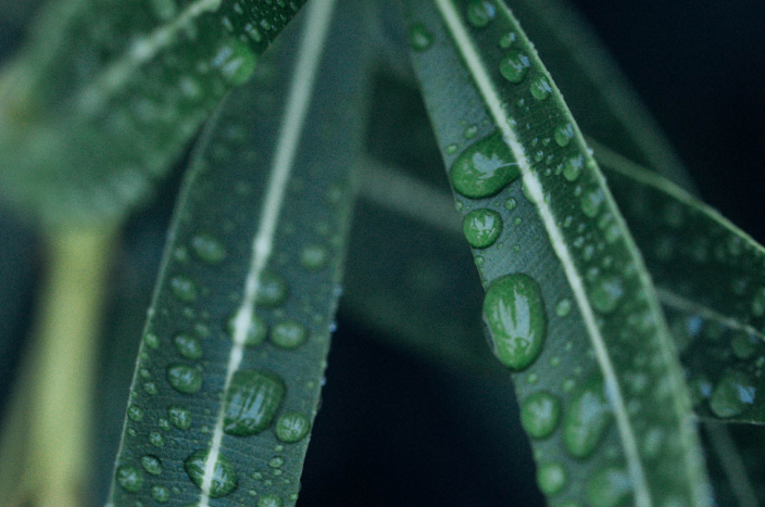 Environmental protection banner